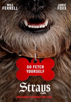 The Strays (2023) full Movie Download Free in Dual Audio HD